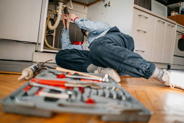  Somonauk, IL Plumbing Pros