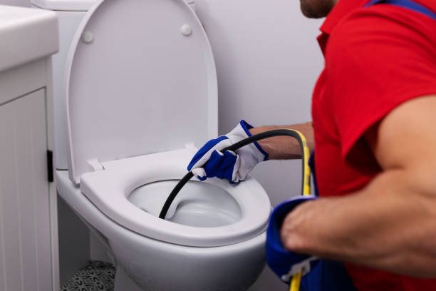 Best Plumbing Services Near Me  in Somonauk, IL