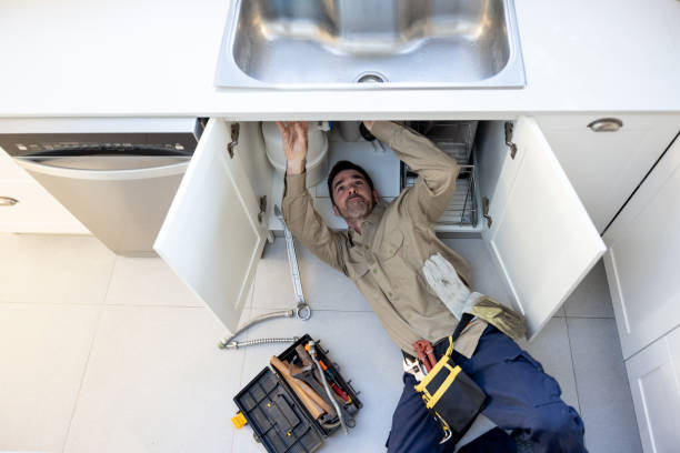 Best Clogged Drain Plumber  in Somonauk, IL