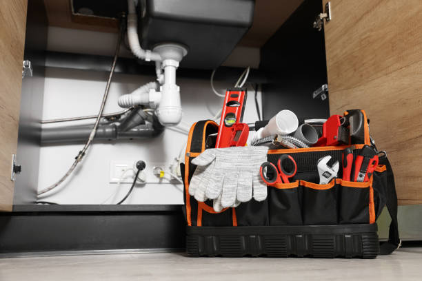 Best 24-Hour Plumber Near Me  in Somonauk, IL