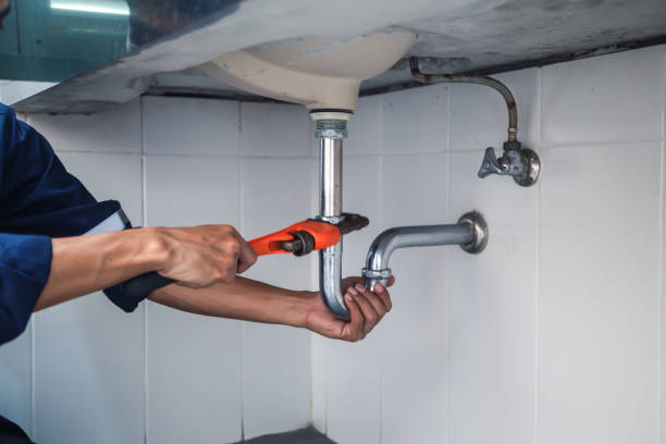 Best Emergency Plumbing Repair  in Somonauk, IL