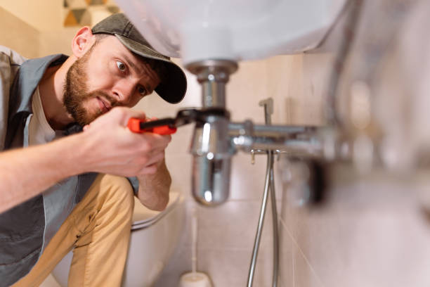 Best Commercial Plumbing Services  in Somonauk, IL