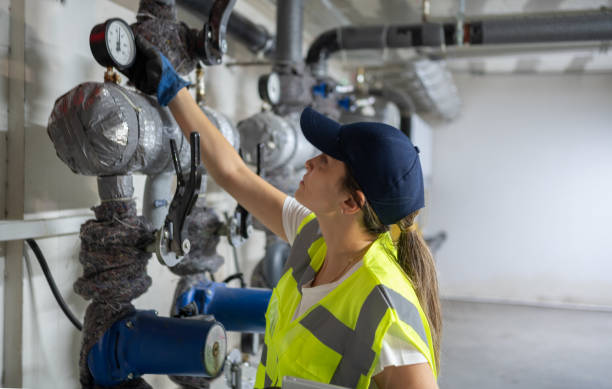 Best Residential Plumbing Services  in Somonauk, IL