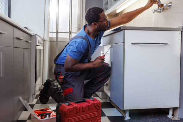 Best Emergency Plumber  in Somonauk, IL